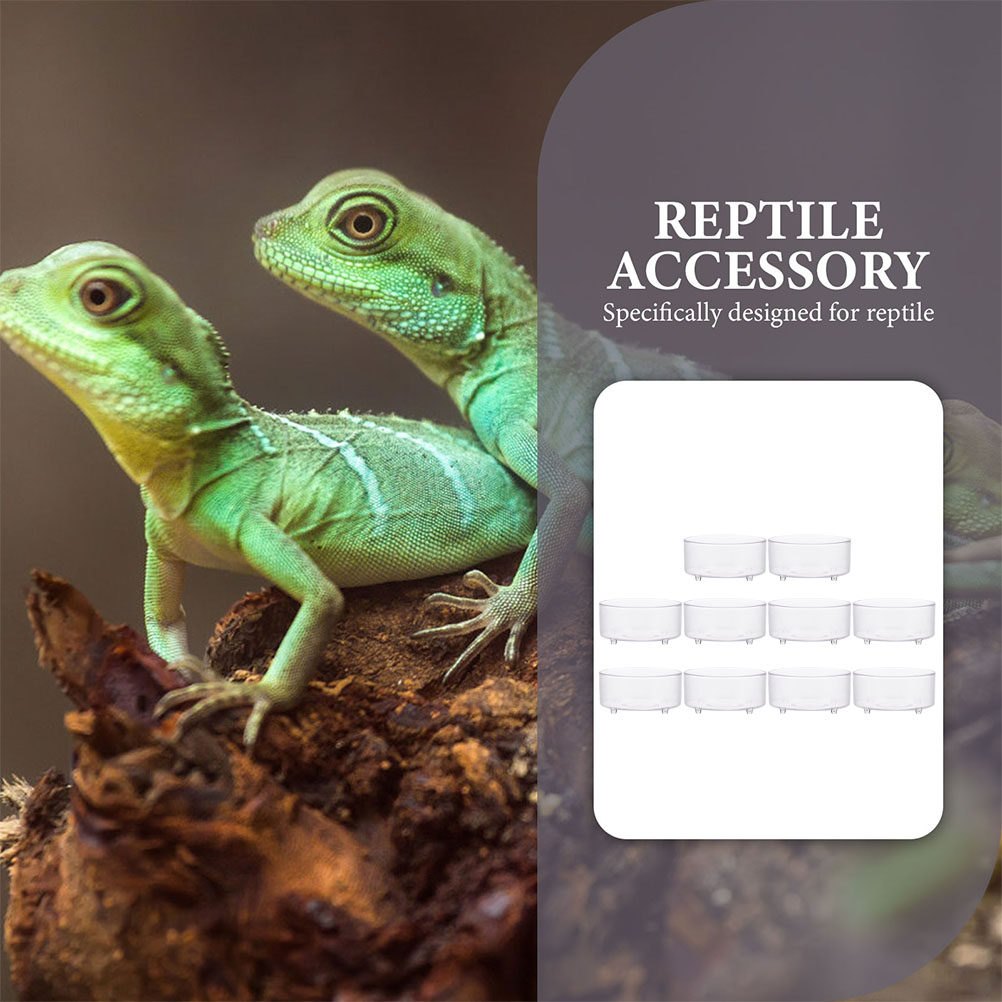 10Pcs Acrylic Reptile Food Dis - مراجعة Water Dish Reptile وسعره
