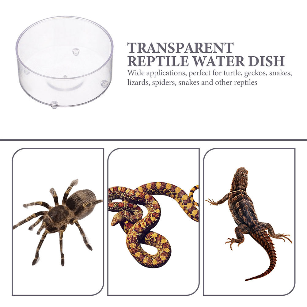 10Pcs Acrylic Reptile Food Dis - مراجعة Water Dish Reptile وسعره