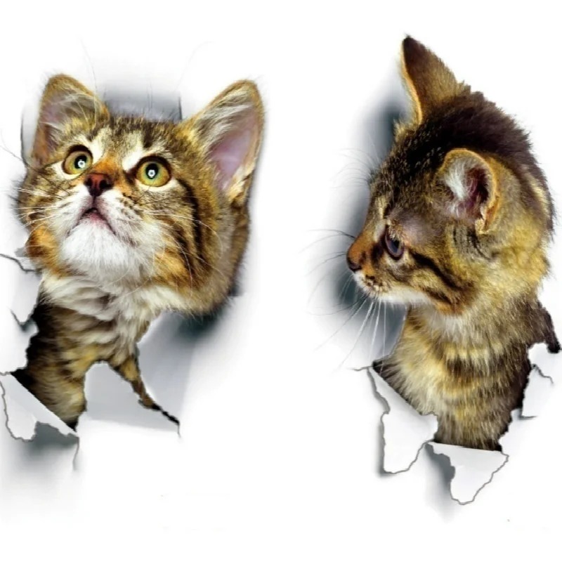 3pcs 3D Cute Cat Self-adhesive - مراجعة Pvc Panel Background وسعره