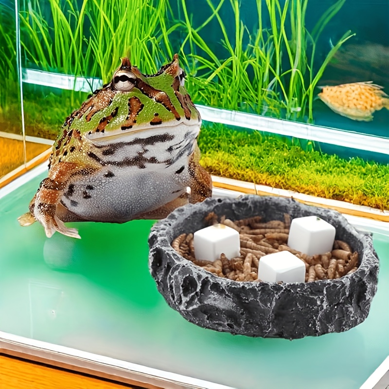 6Pcs For Reptile Grinding Tort - مراجعة Calcium Powder Reptile وسعره