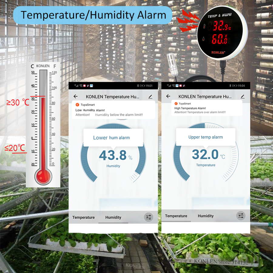 Tuya WIFI Temperature Humidity - مراجعة Digital Hygrometer Probe وسعره