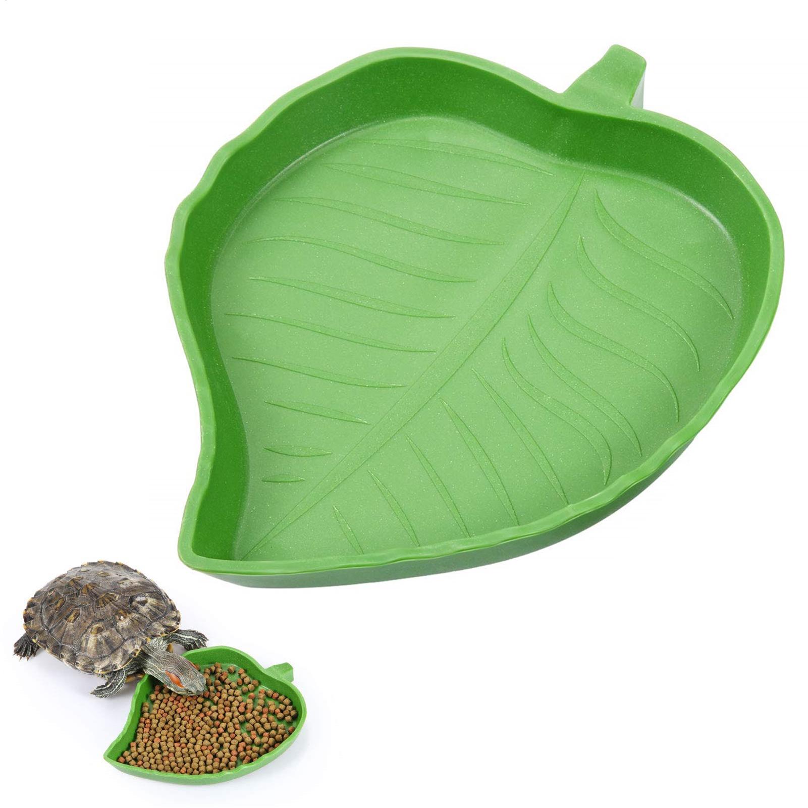 Turtle Feeding Bowl Reptile Fe - مراجعة Water Dish Reptile وسعره