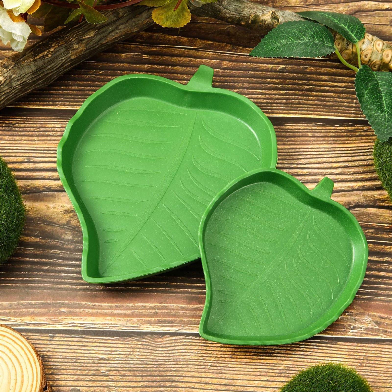 Turtle Feeding Bowl Reptile Fe - مراجعة Water Dish Reptile وسعره