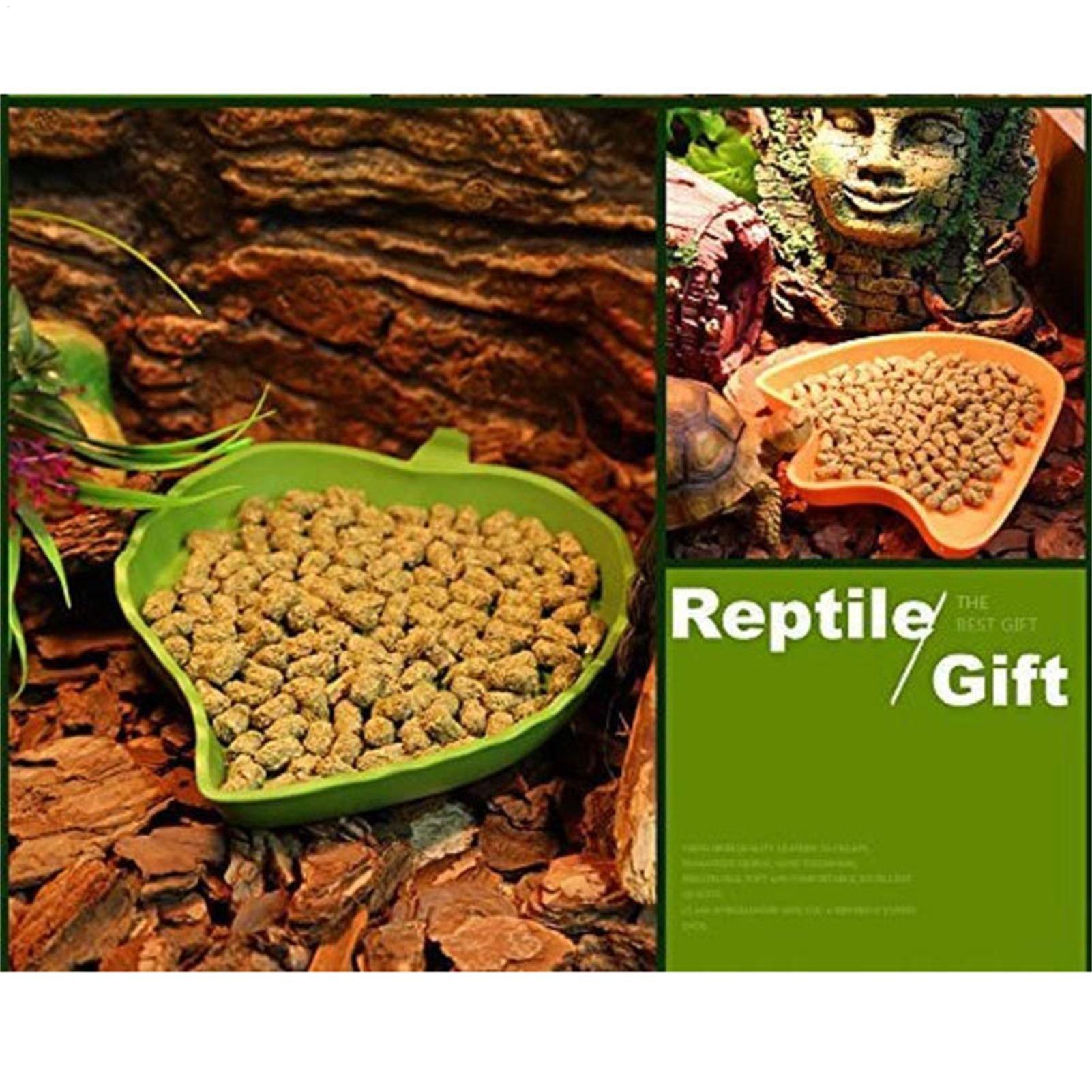 Turtle Feeding Bowl Reptile Fe - مراجعة Water Dish Reptile وسعره