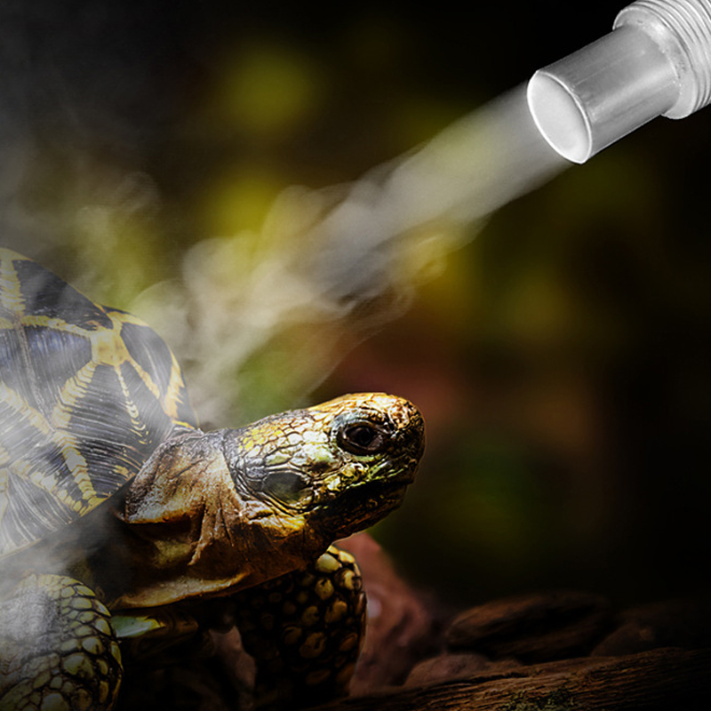 4L Reptile Terrariums Humidifi - مراجعة Terrarium Fogger Ultrasonic وسعره