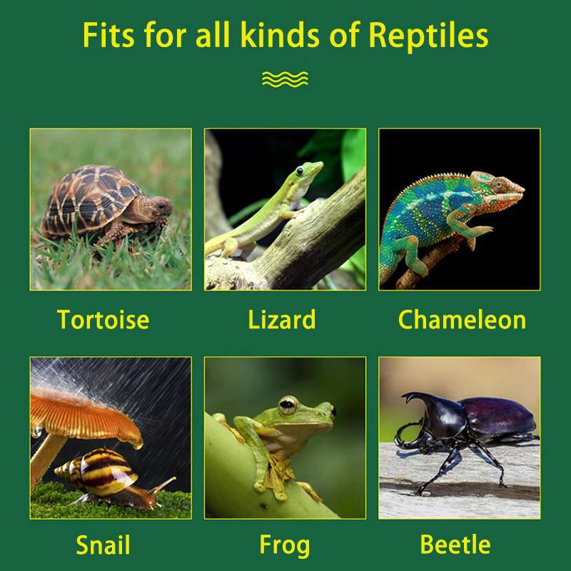 4L Reptile Terrariums Humidifi - مراجعة Terrarium Fogger Ultrasonic وسعره