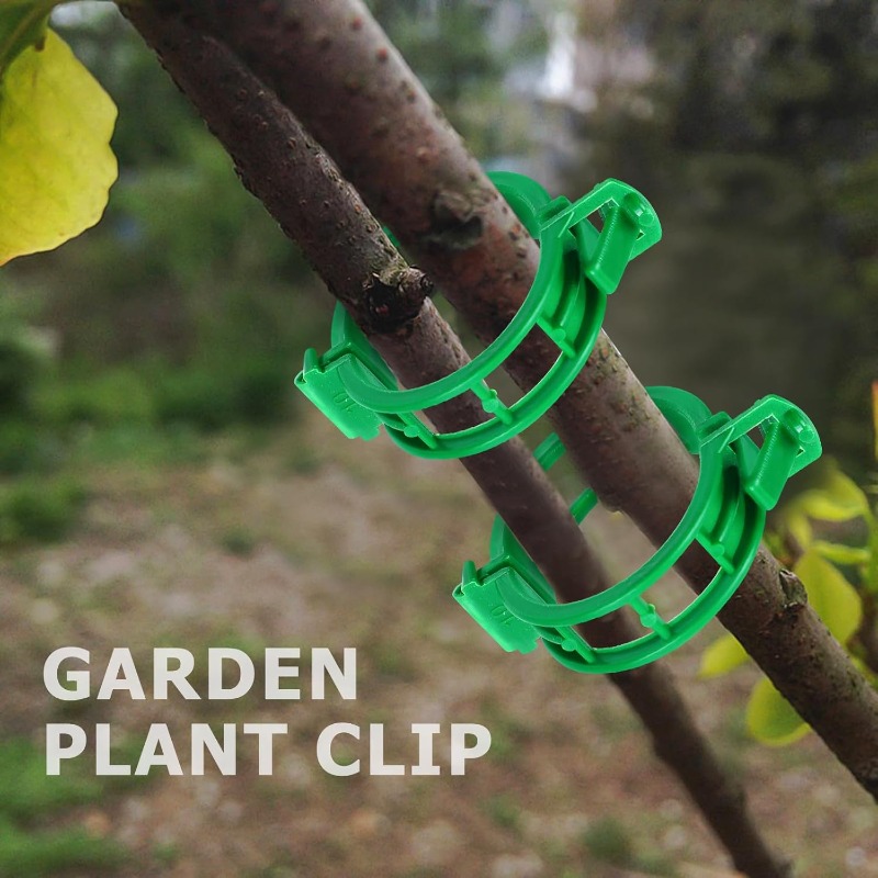 Reusable Plastic Plant Support - مراجعة Vine Climbing Plastic وسعره