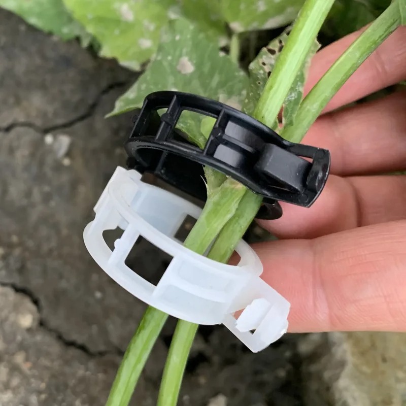 Reusable Plastic Plant Support - مراجعة Vine Climbing Plastic وسعره