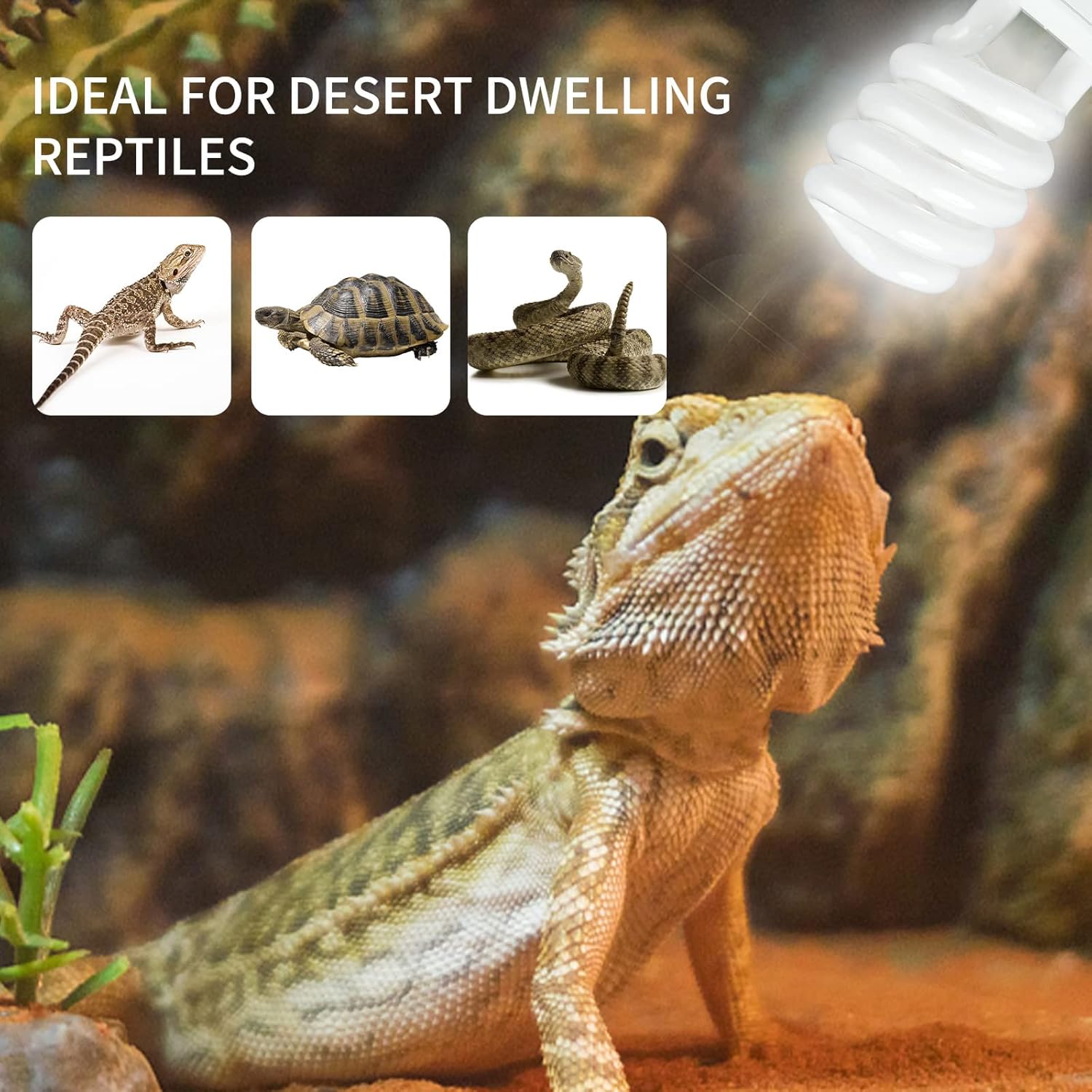 UVB 5.0 10.0 Reptile Heating L - مراجعة Ceramic Heat Emitter وسعره