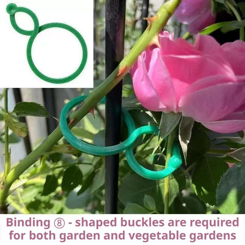 100 Pcs Plant Support Clips He - مراجعة Vine Climbing Plastic وسعره