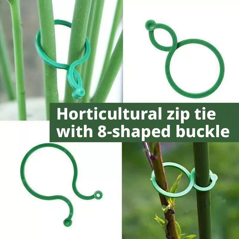 100 Pcs Plant Support Clips He - مراجعة Vine Climbing Plastic وسعره