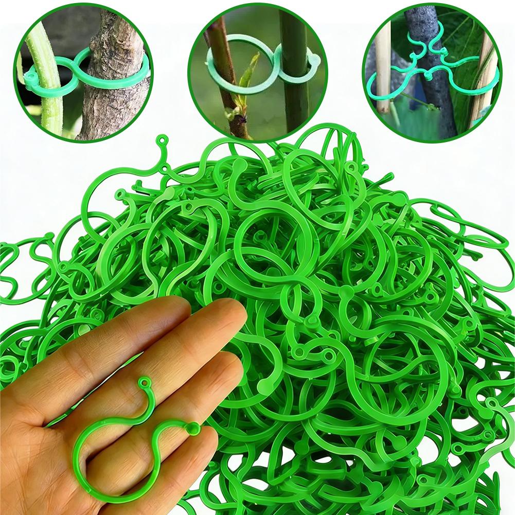 100 Pcs Plant Support Clips He - مراجعة Vine Climbing Plastic وسعره