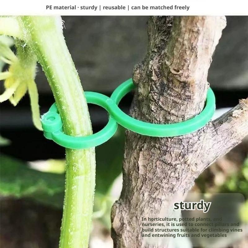 100 Pcs Plant Support Clips He - مراجعة Vine Climbing Plastic وسعره