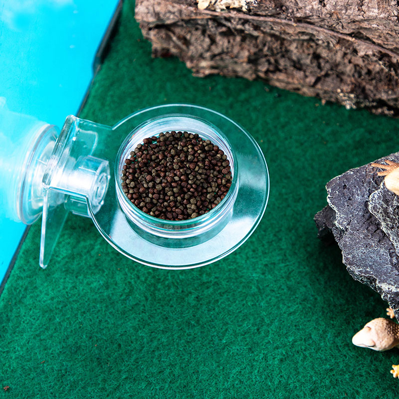 Acrylic Crawling Pet Feeding W - مراجعة Water Dish Reptile وسعره