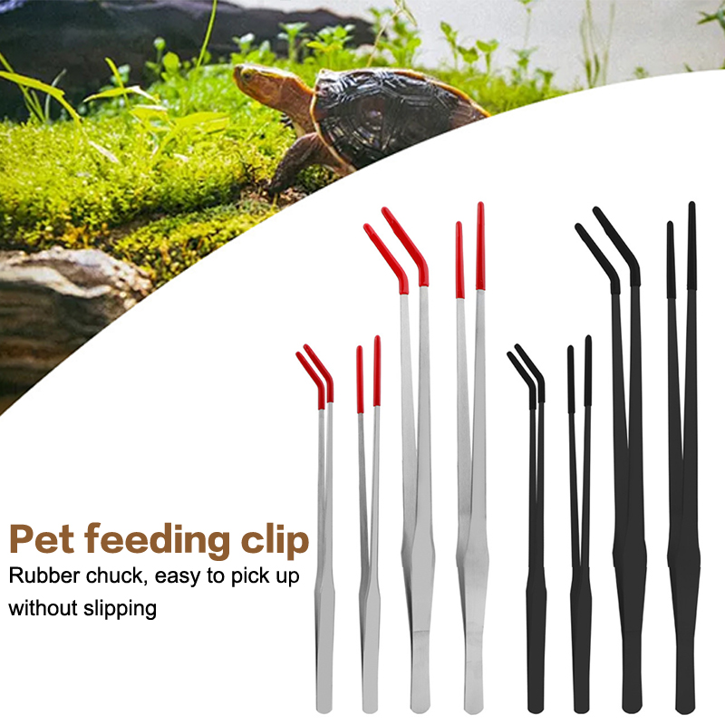 Expert Aquarium Tools: Stainle - مراجعة Feeding Tong Stainless وسعره