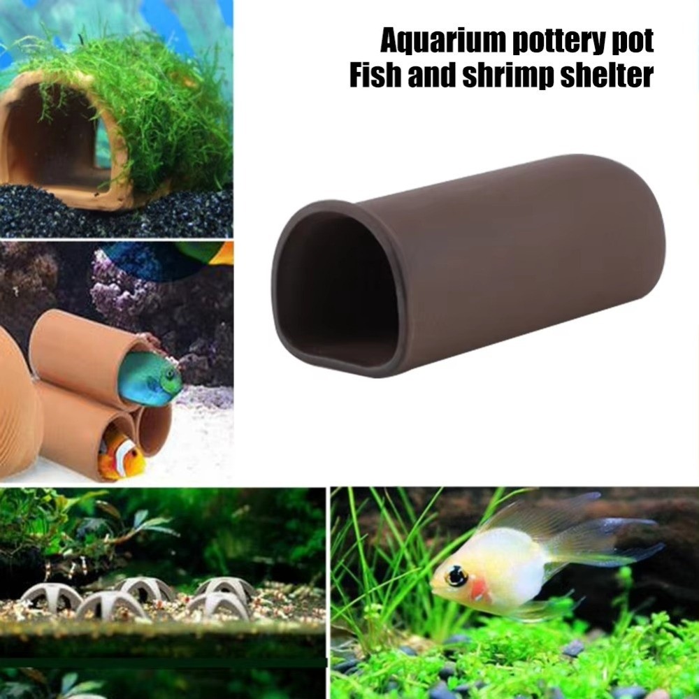 Playing Breeding Spawning Aqua - مراجعة Hide Cave Ceramic وسعره