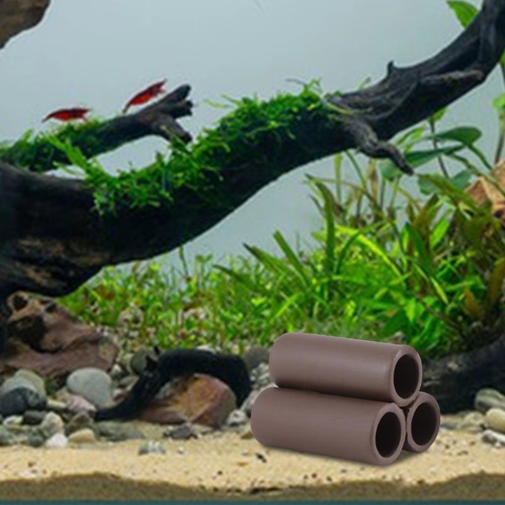 Playing Breeding Spawning Aqua - مراجعة Hide Cave Ceramic وسعره