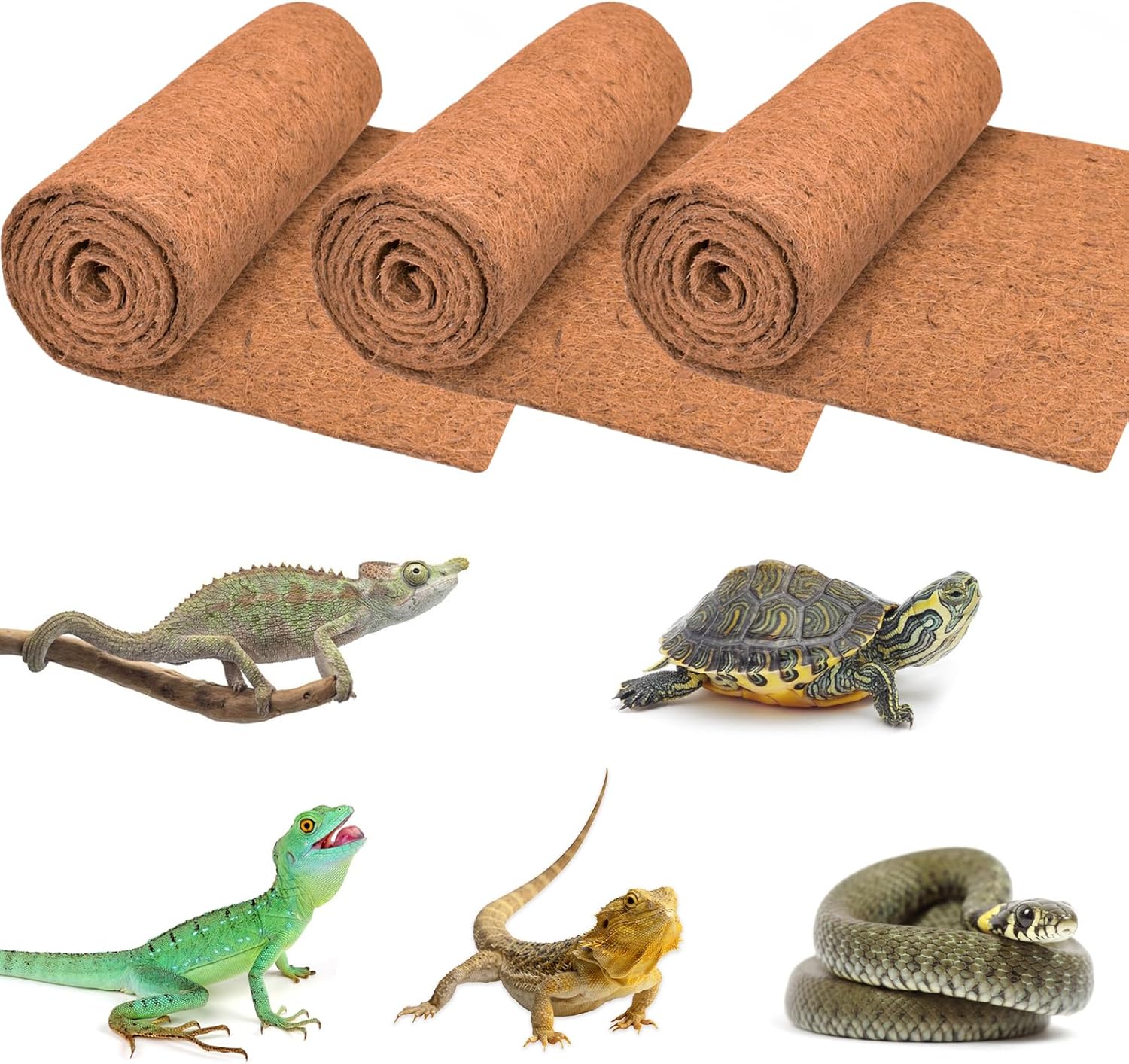 3 Rolls Reptile Carpet, 24x48i - مراجعة Substrate Coconut Fiber وسعره