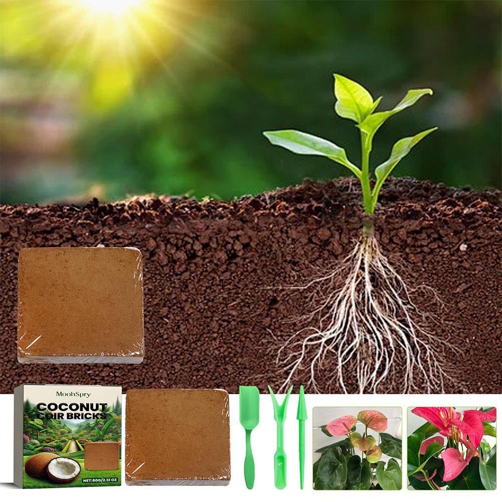 Reptile Coconut Soil Coir Pres - مراجعة Substrate Coconut Fiber وسعره