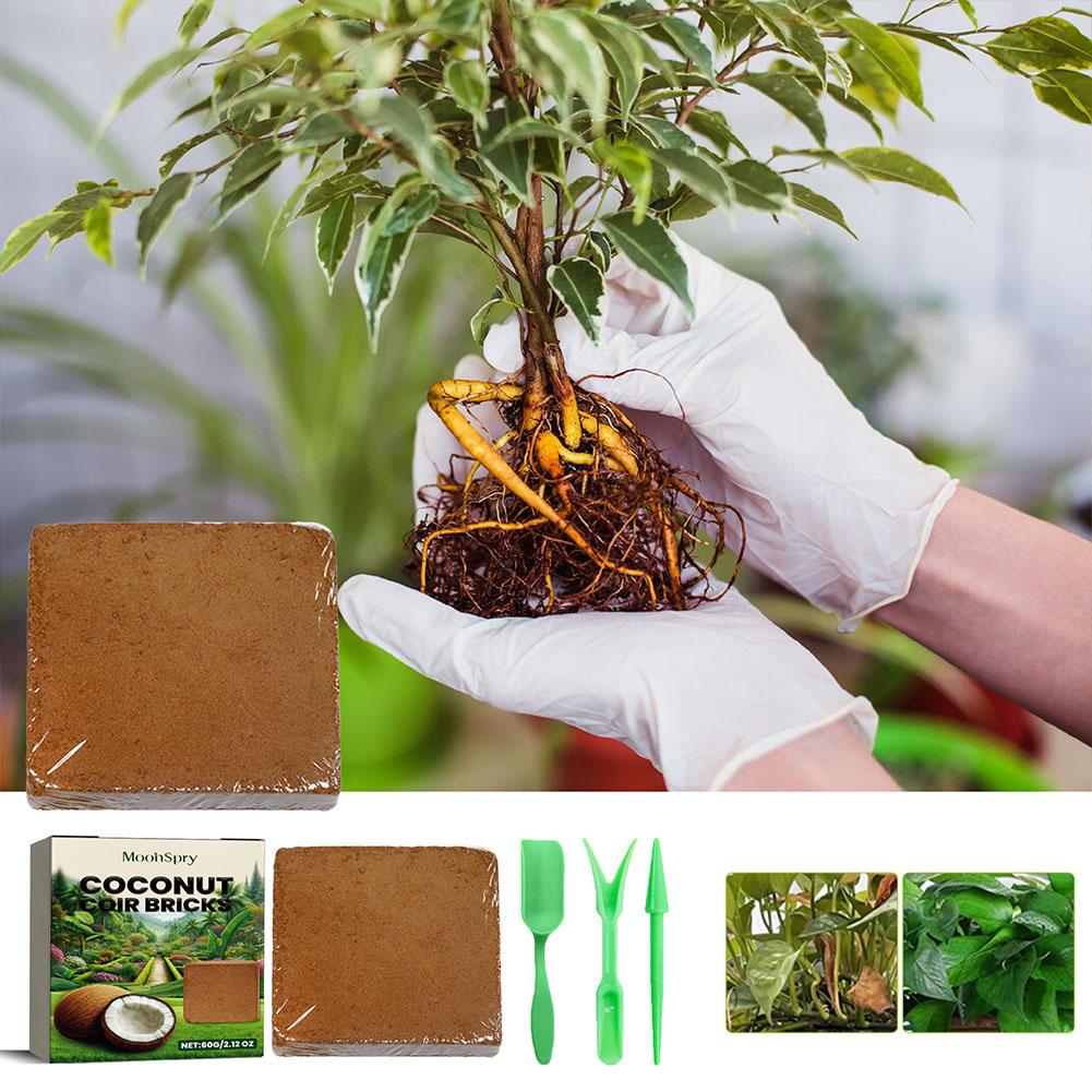 Reptile Coconut Soil Coir Pres - مراجعة Substrate Coconut Fiber وسعره