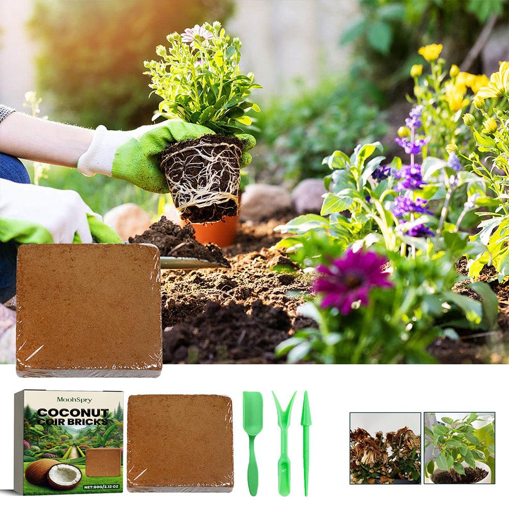 Reptile Coconut Soil Coir Pres - مراجعة Substrate Coconut Fiber وسعره