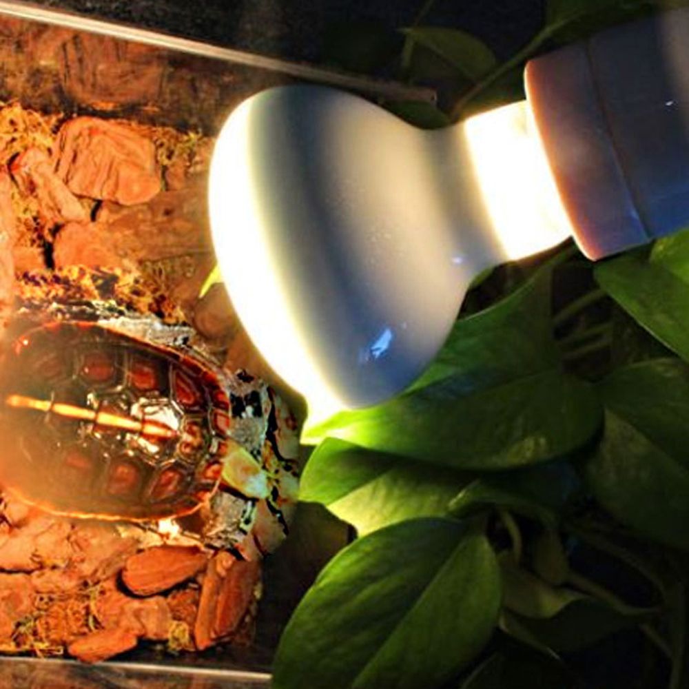Lizard Heater Temperature Cont - مراجعة Basking Bulb Halogen وسعره