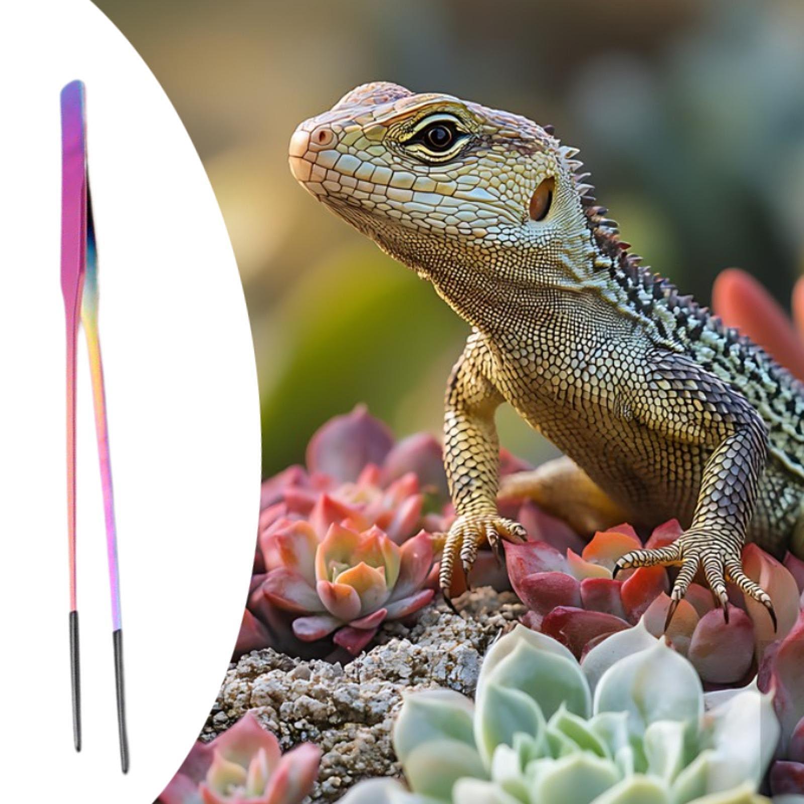Terrarium Reptile Feeder Tongs - مراجعة Feeding Tong Stainless وسعره