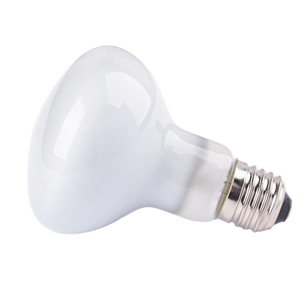 Lizard Temperature Controller  - مراجعة Basking Bulb Halogen وسعره