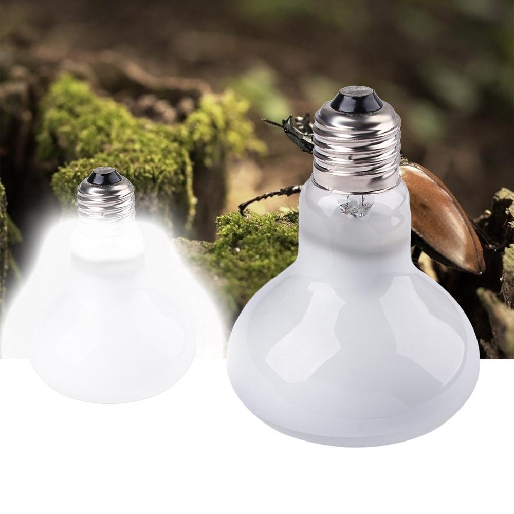 Lizard Temperature Controller  - مراجعة Basking Bulb Halogen وسعره
