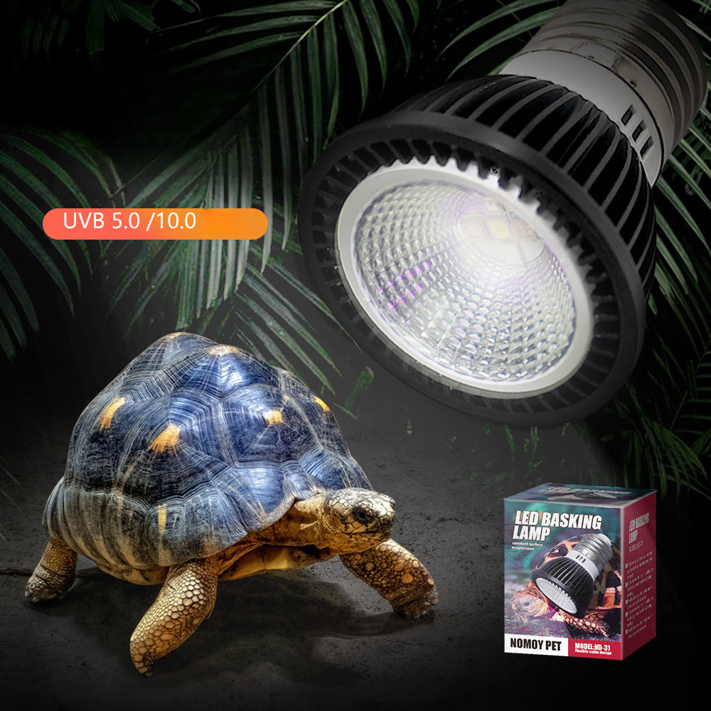 Reptile 110/220V UVB+UVA Light - مراجعة Calcium Powder Reptile وسعره