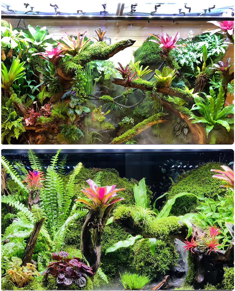 MINI Adjustable Reptile Fogger - مراجعة Misting Nozzle Reptile وسعره