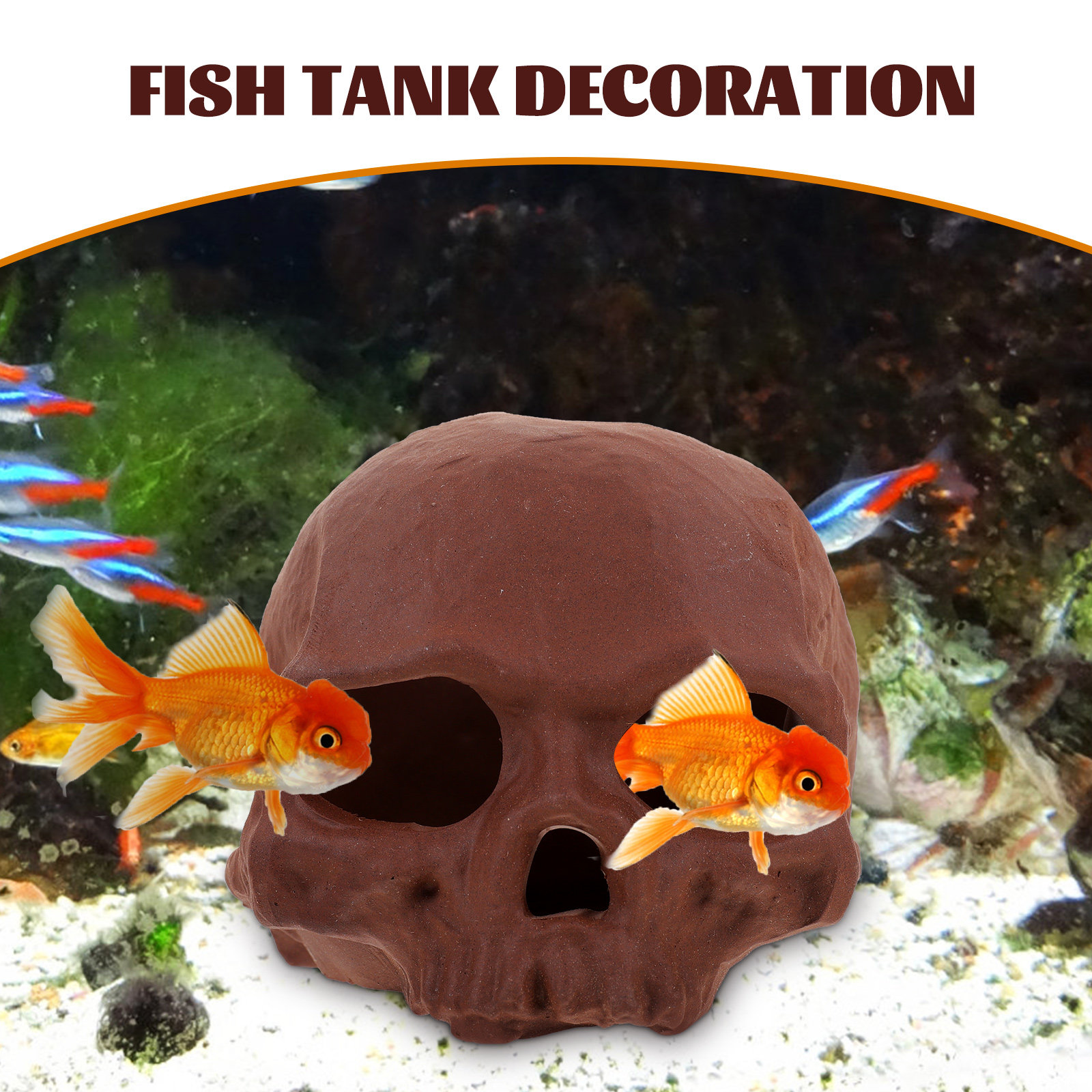 Ceramic Fish Tank Decoration S - مراجعة Hide Cave Ceramic وسعره