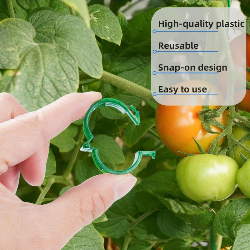 600/10x Plant Support Clips Cl - مراجعة Vine Climbing Plastic وسعره