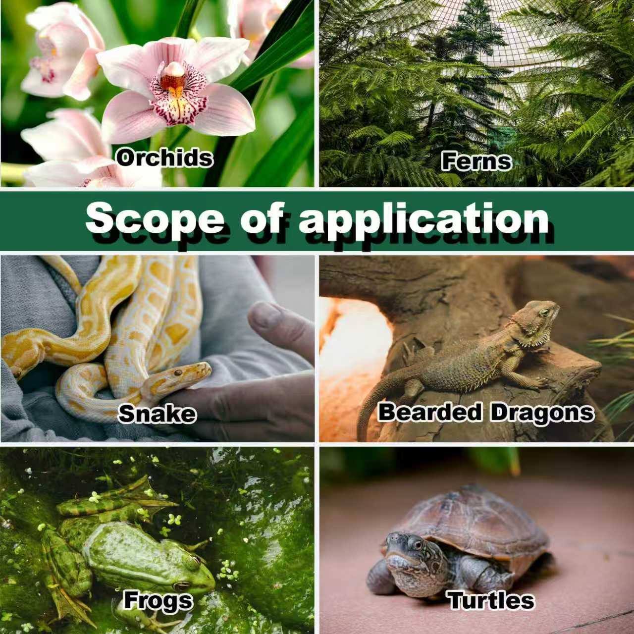 Reptile Humidifier Terrarium F - مراجعة Terrarium Fogger Ultrasonic وسعره