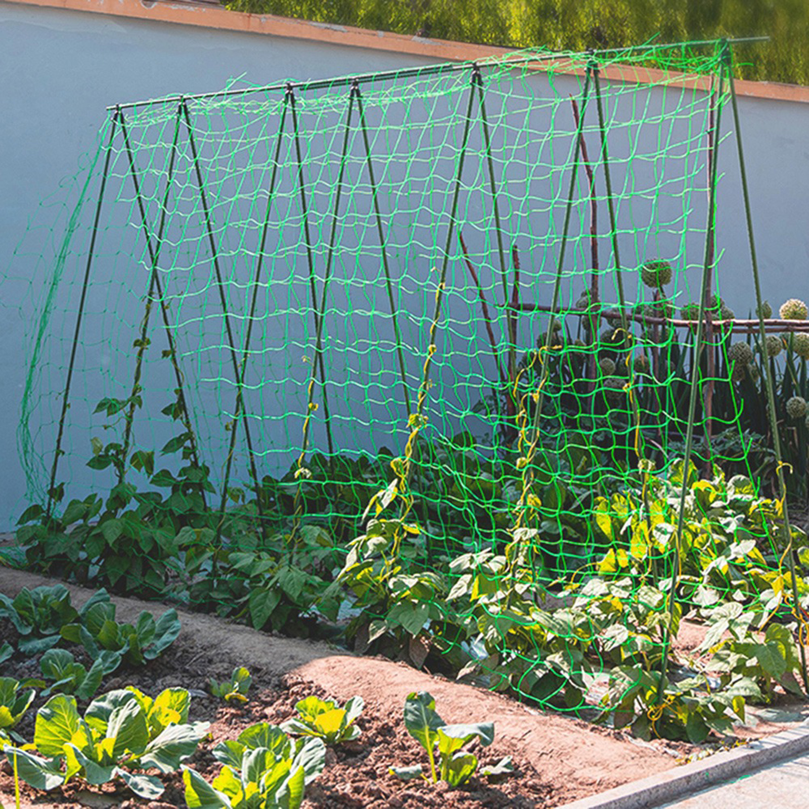 Garden Netting Plant Vine Grow - مراجعة Vine Climbing Plastic وسعره
