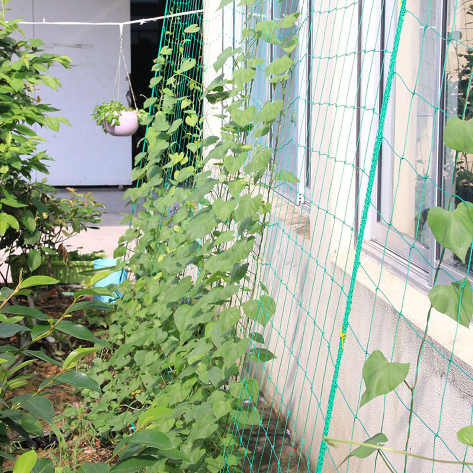 Garden Netting Plant Vine Grow - مراجعة Vine Climbing Plastic وسعره