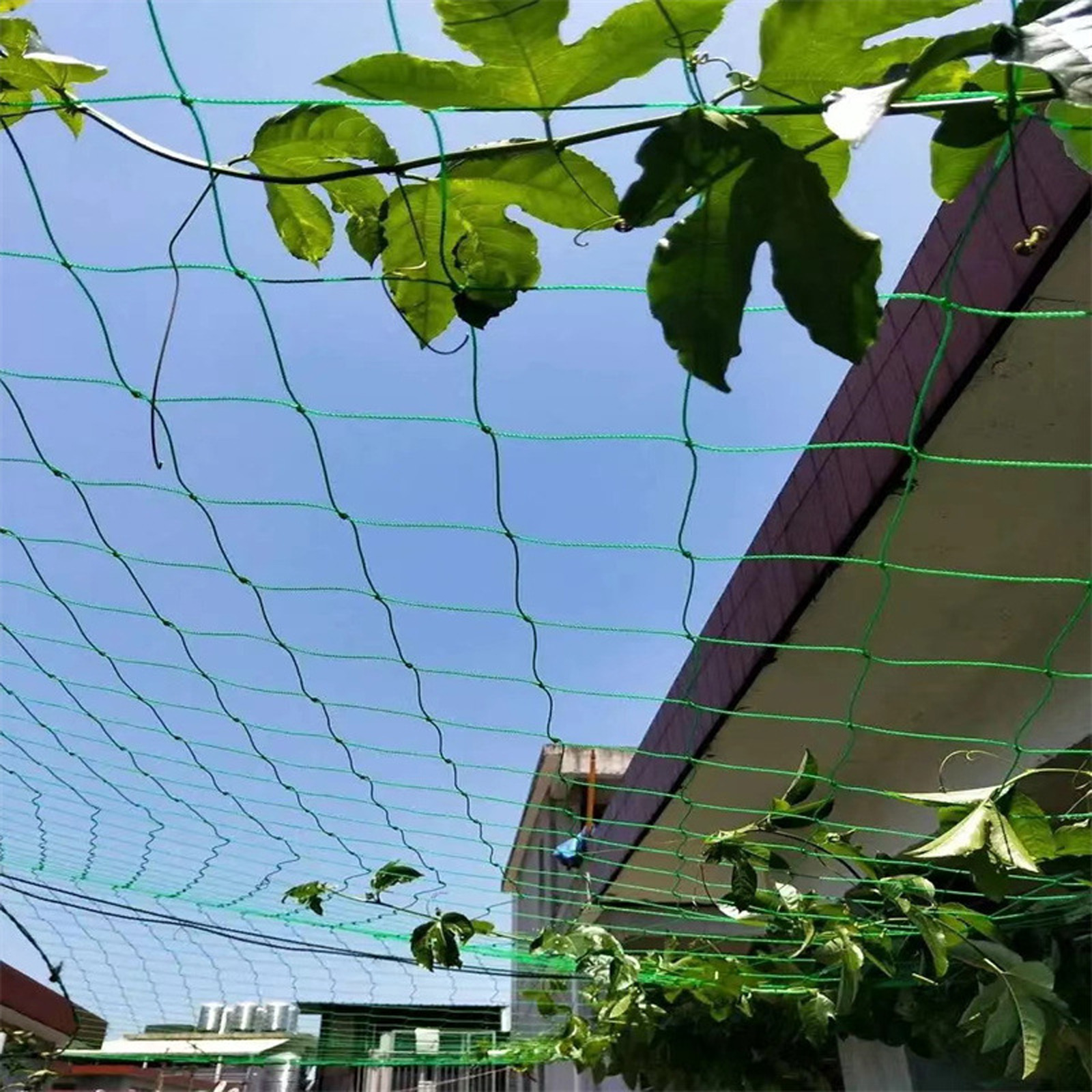 Garden Netting Plant Vine Grow - مراجعة Vine Climbing Plastic وسعره