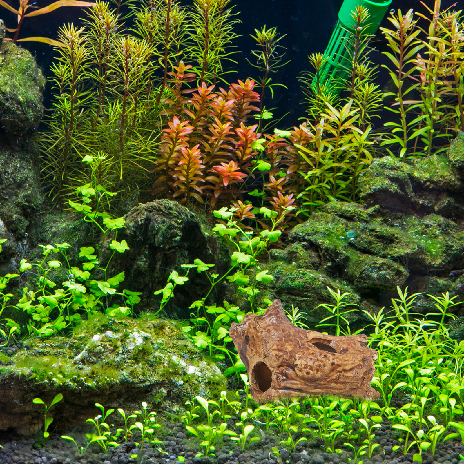 Ceramic Pleco Caves for Aquari - مراجعة Hide Cave Ceramic وسعره