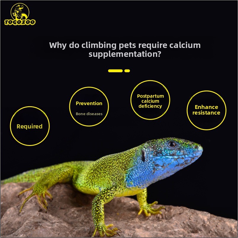 TOGOZOO WILDCAL Reptile Calciu - مراجعة Calcium Powder Reptile وسعره