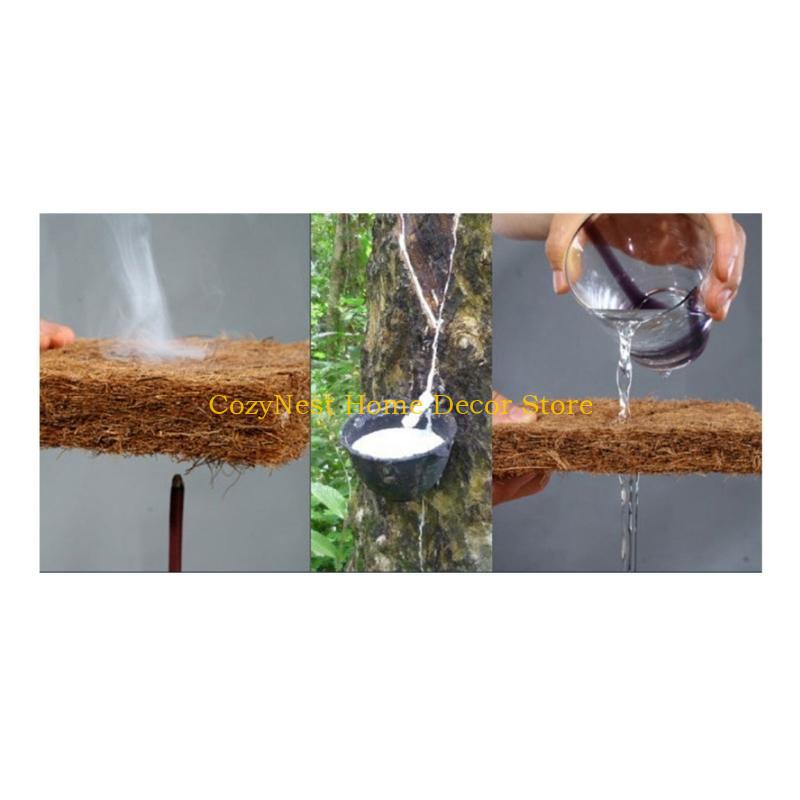 92MF Terrariums Substrate Line - مراجعة Substrate Coconut Fiber وسعره