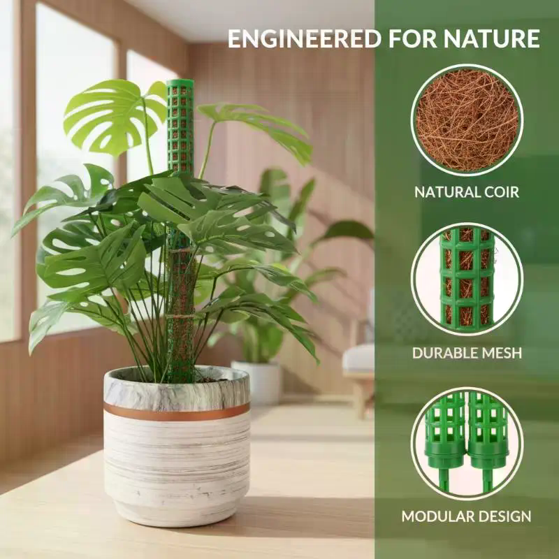 Plant Climbing Frame Plant Mos - مراجعة Vine Climbing Plastic وسعره