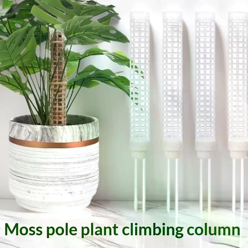 Plant Climbing Frame Plant Mos - مراجعة Vine Climbing Plastic وسعره