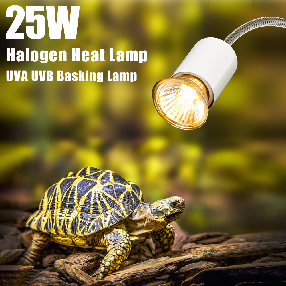 25W Halogen Heat Lamp UVA UVB  - مراجعة Basking Bulb Halogen وسعره