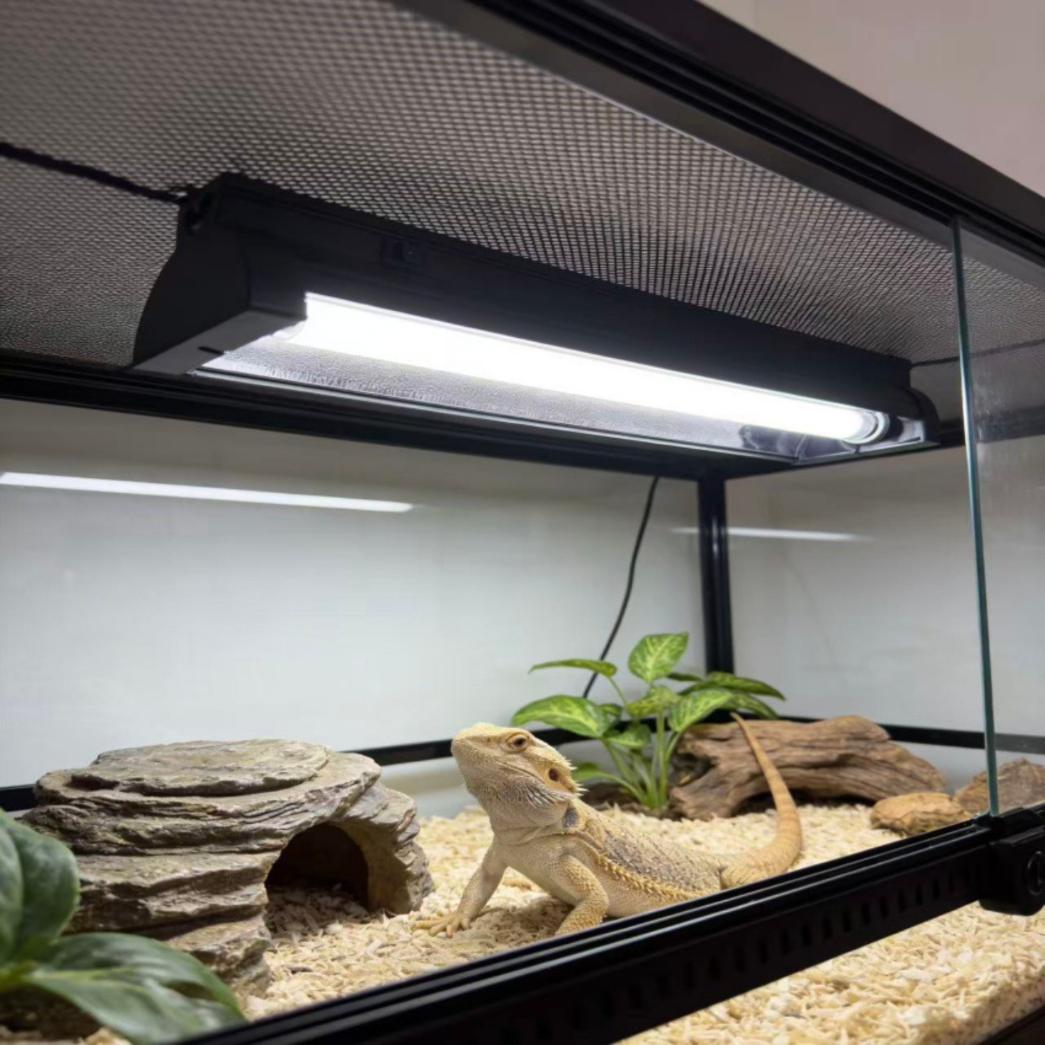 T5 UVB Reptile Light Fixture K - مراجعة Calcium Powder Reptile وسعره