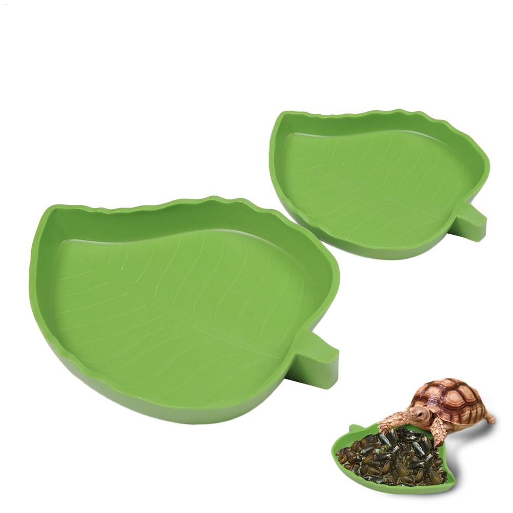 Amphibians Reptiles Feeder Pla - مراجعة Water Dish Reptile وسعره