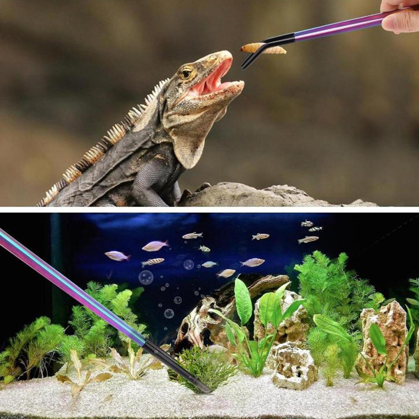 Aquarium Tweezers Reptile Feed - مراجعة Feeding Tong Stainless وسعره