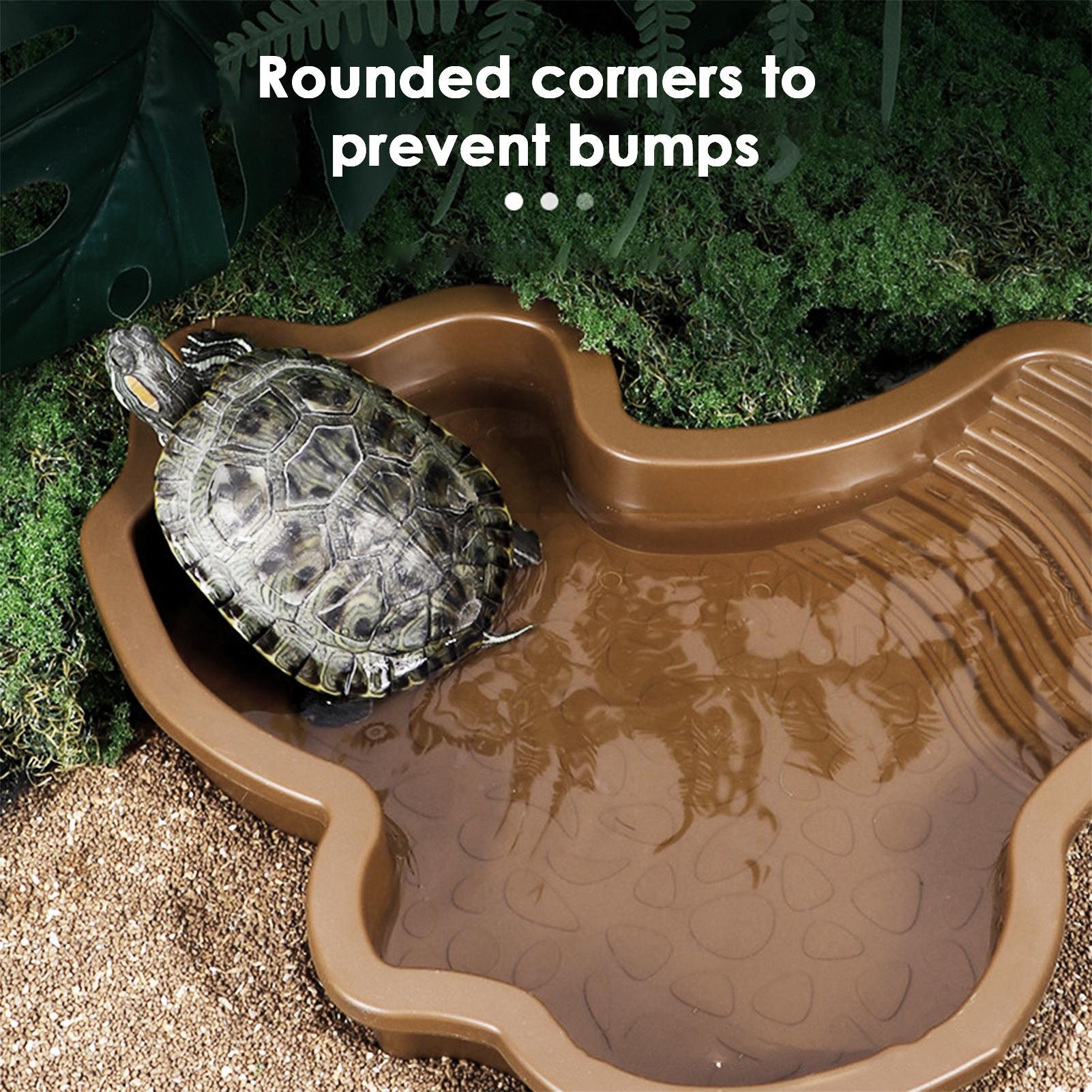 Reptile Bathing Pool with Ramp - مراجعة Water Dish Reptile وسعره