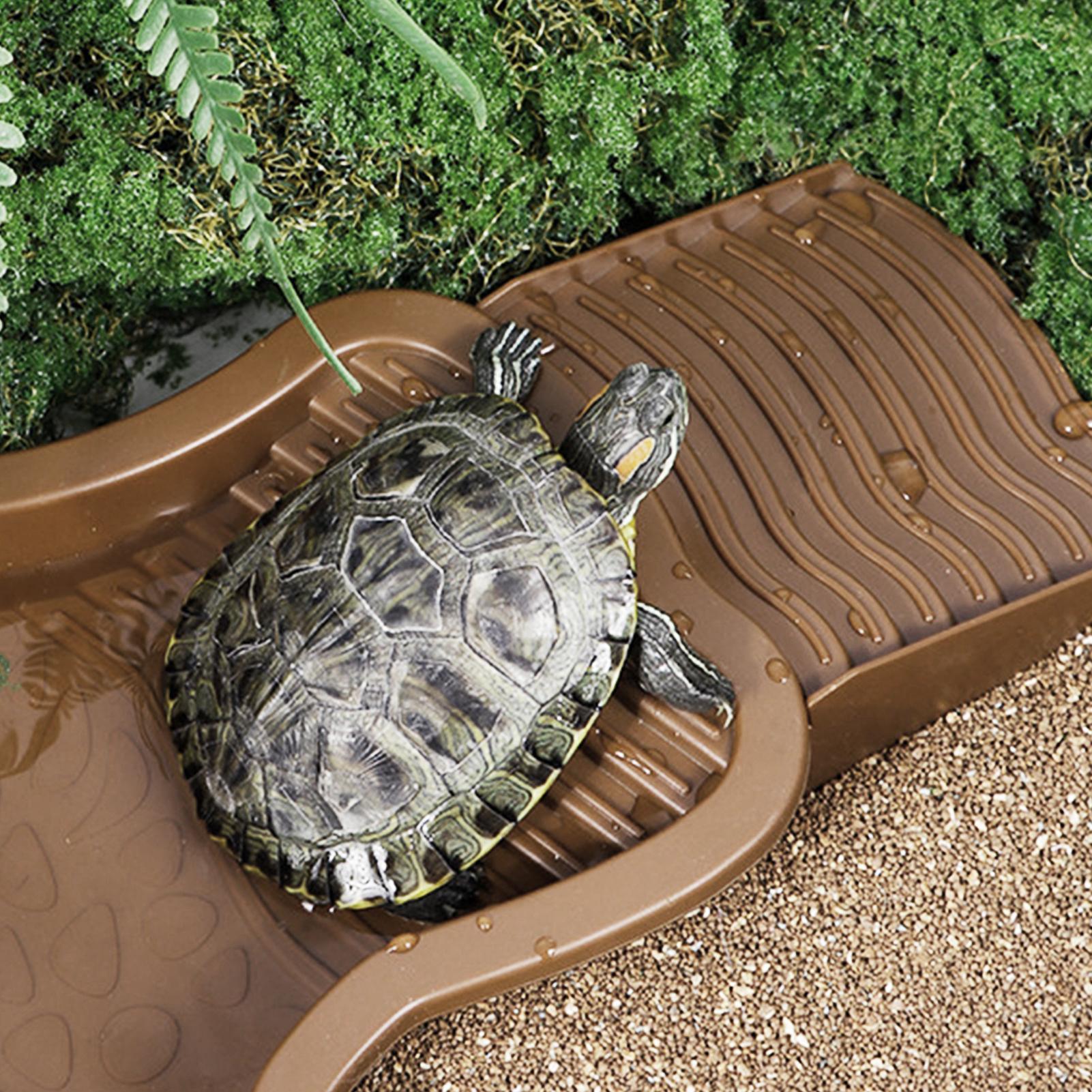 Reptile Bathing Pool with Ramp - مراجعة Water Dish Reptile وسعره