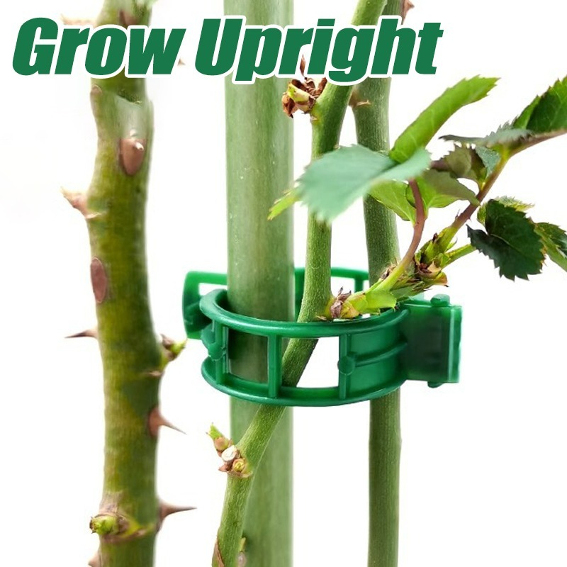 10-500Pcs Garden Plant Support - مراجعة Vine Climbing Plastic وسعره