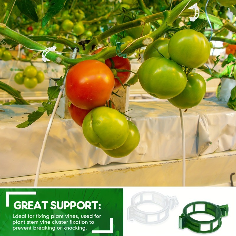 10-500Pcs Garden Plant Support - مراجعة Vine Climbing Plastic وسعره